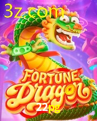 22PG.COM
